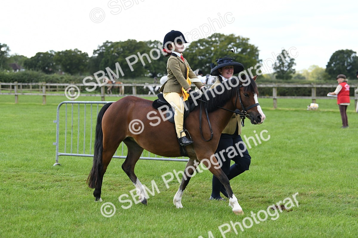 SBM_42722 - S20 - Lead Rein Mountain & Moorland Pony