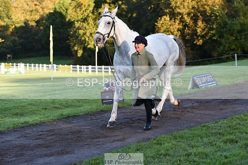 231022-085502-21446 - 618-LORD.PICTON.FREESTYLE-Penny.Corbett-TrotUp+SJ