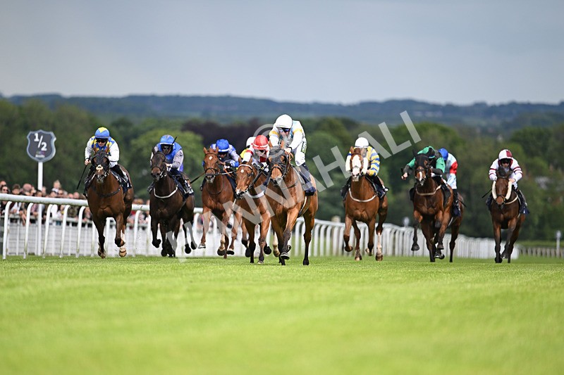 290524-Race 5-Distinction-6606 - Race 5