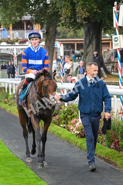 080924-Race 4-Zain Blue-9267 - Race 4 3.25pm PJ Staffing Group Handicap