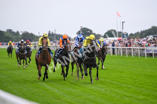 080925-Race 1-Proud Nation-7158 - Race 1 2.30pm Enter ITV7 For Free Confined EBF Maiden Stakes