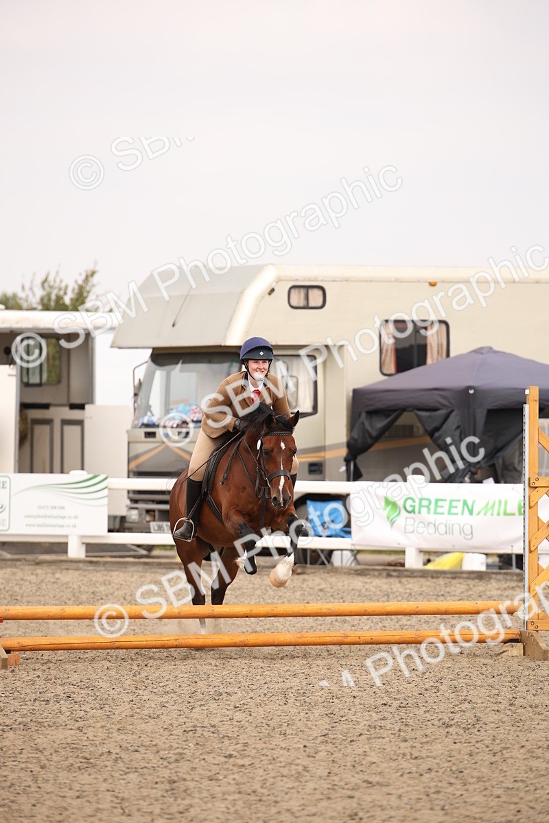 SBM_12241 - Class 405a - M&M Working Veteran 50cm (15-19)