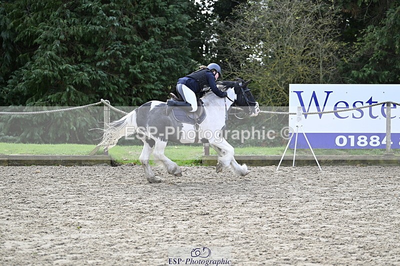 251005A-121453-03683 - Cls 08 Mini 70-75cm