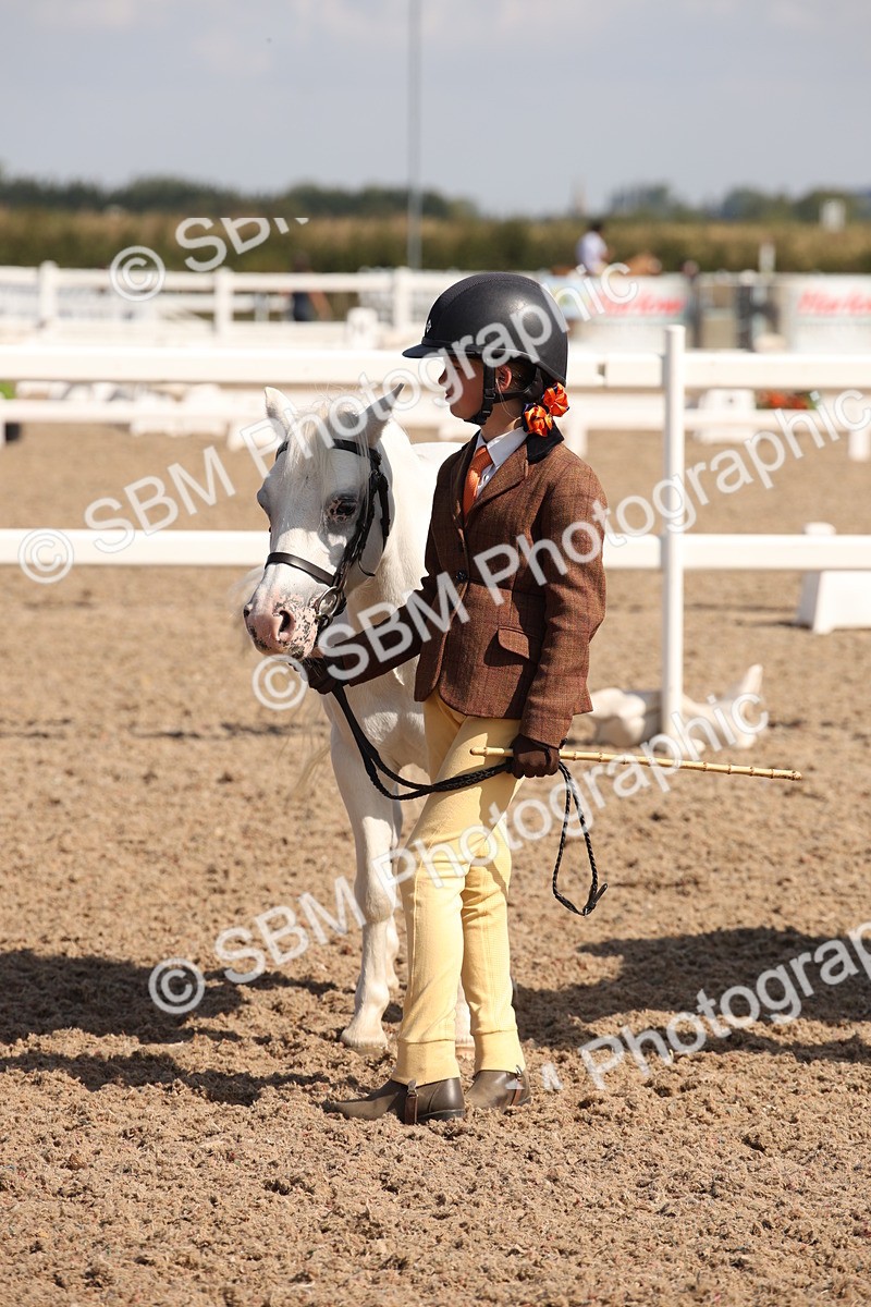 SBM_03053 - Class 17 Prettiest Mare IH or Ridden