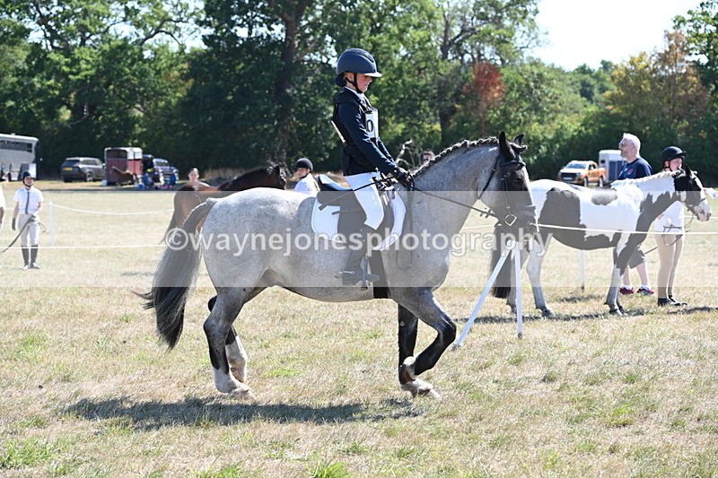 WJ6_8306 - Class 37a Best Loan Pony Ridden