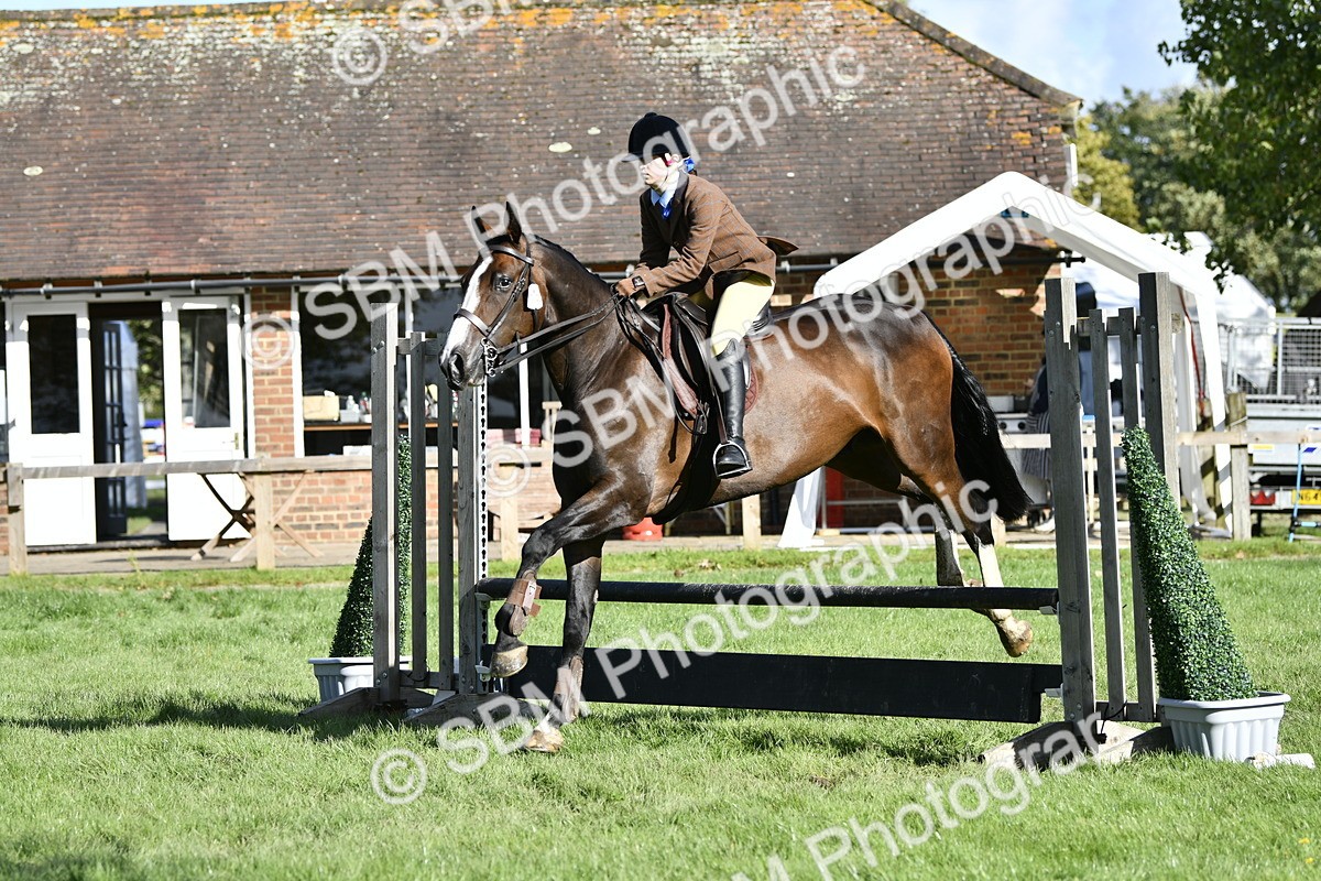 SBM_49999 - S34 - Novice & Newcomers Working Hunter
