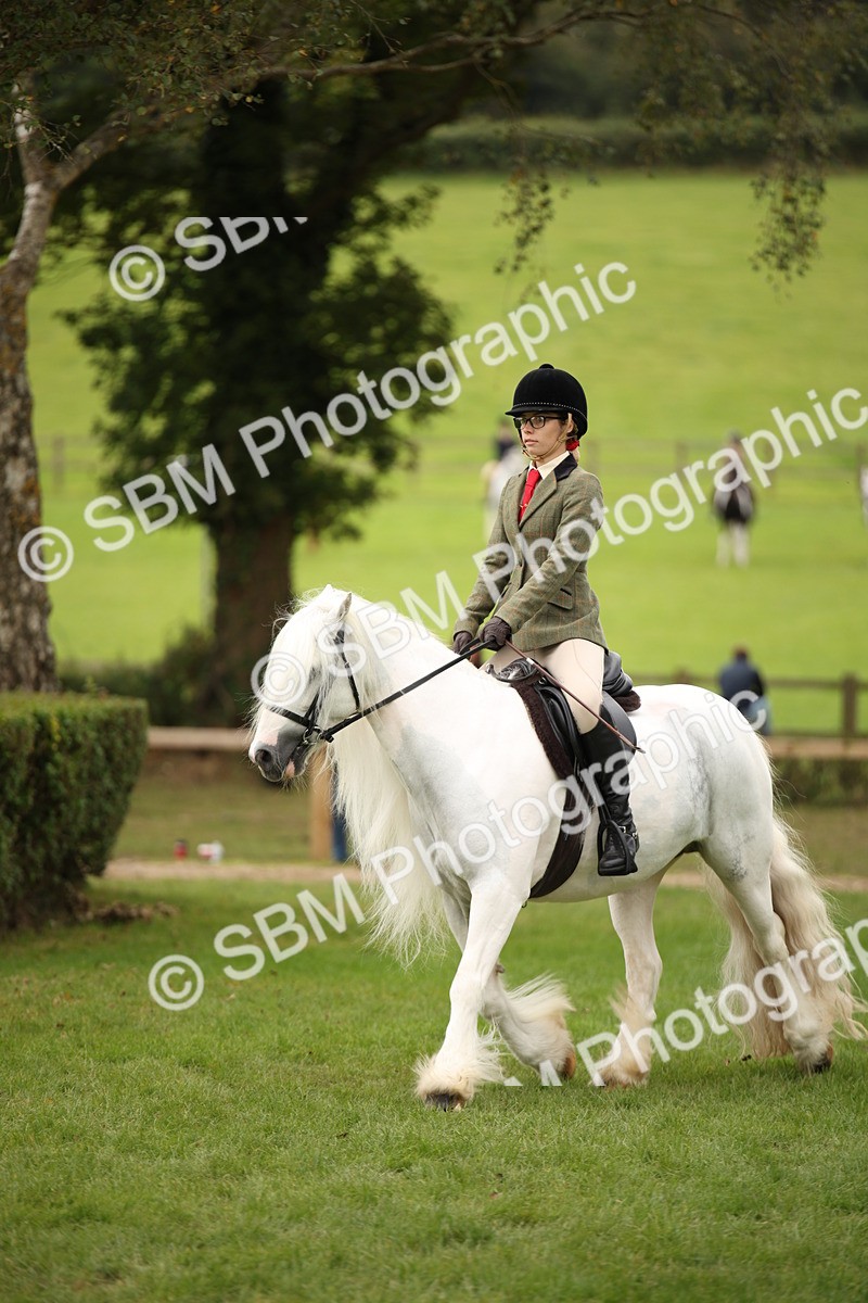 SBM_73526 - S68 - Traditional Cob Ridden