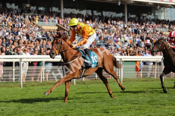 yr20082022r6-15 - Race 6 4.45 pm Julia Graves Roses Stakes