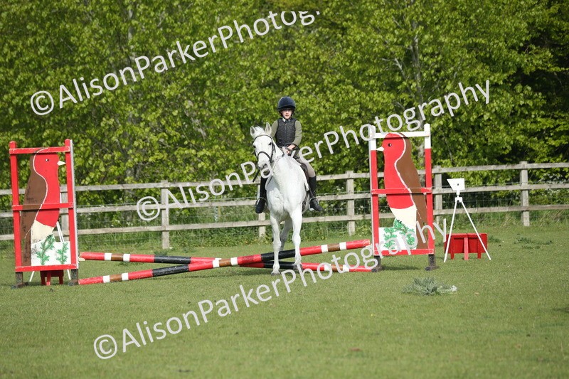 20260426-0166 - Class 13 - Rookie Jumping 50cm