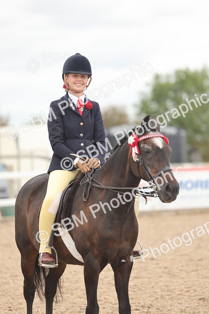 SBM_16047 - Class 311 - Ridden Show pony-Show hunter Pony