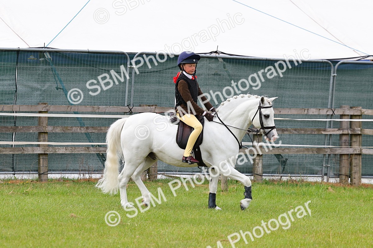 SBM_09578 - Class 44-45 - LIHS BSPS Open Nursery and Cradle Stakes