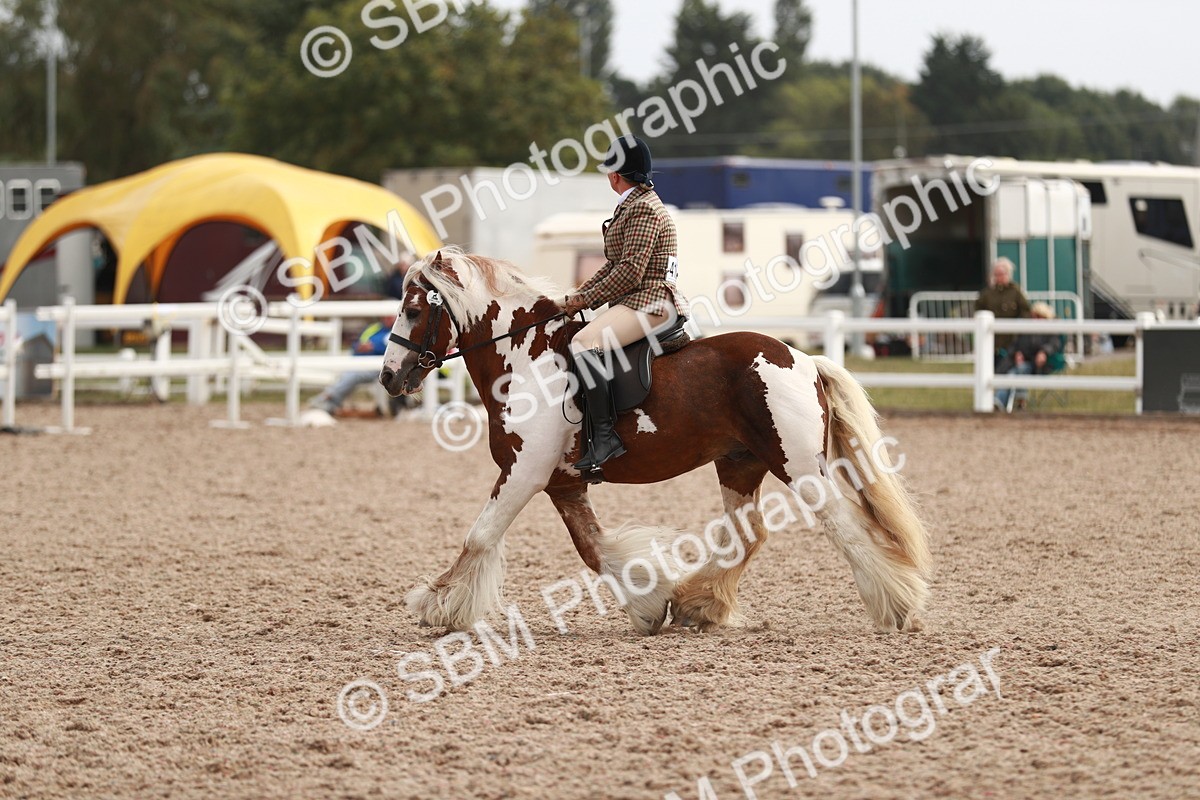 SBM_16792 - Class 214 Ridden Cob