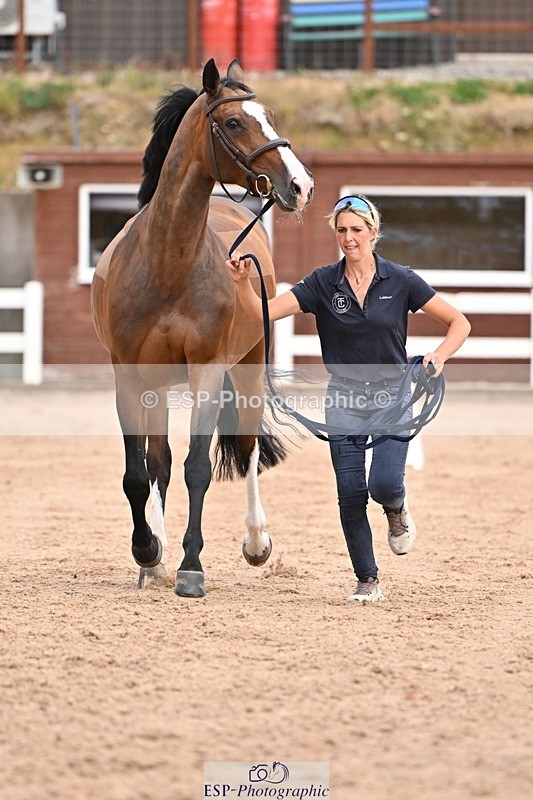 250716-151947-01872 - Trot Up 2.30 to 3.30