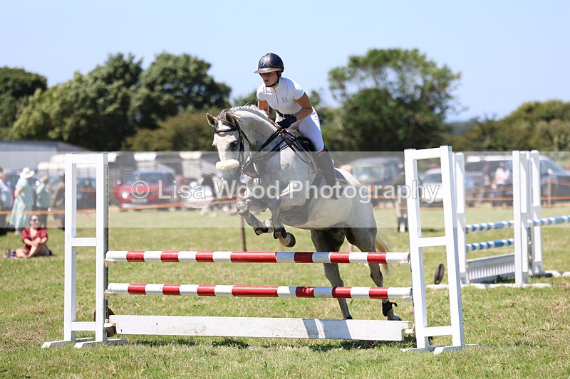 3E7A5590 - Class 9: Senior British Novice/90cm open