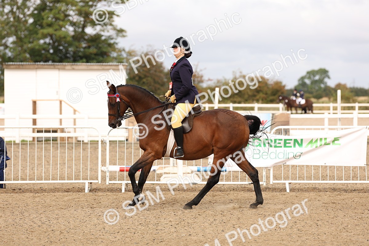 SBM_01573 - Class 52 - Ridden Veteran