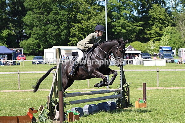 IMG_4137 - Working Hunter