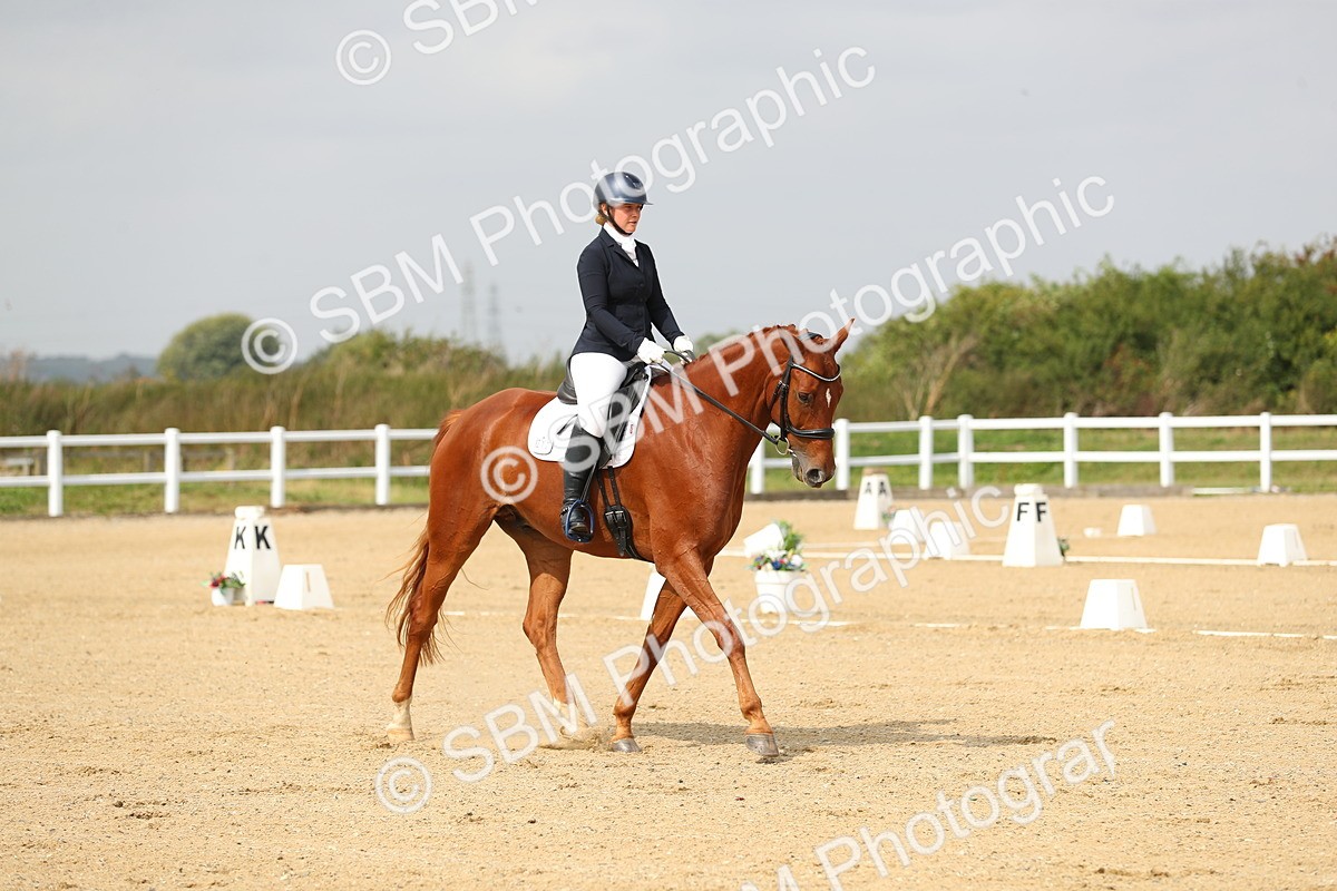 SBM_017299 - Class 13 - Novice 23 - 13.31-14.13