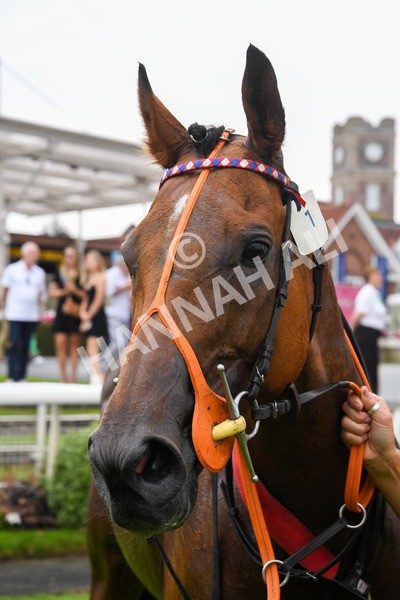 100923-Pony Race 1-Seal The Deal-0095-2 - Pony Race 1 12.25 The Dragon (TV and Film) Studios Pony Race 148cm & Under