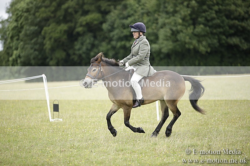 BVR160717-1308 - Ring 1 BVRC Show 16/07/17