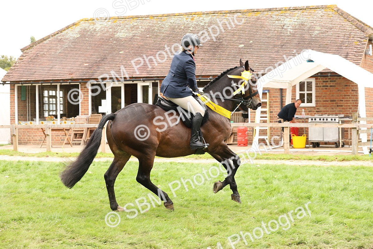 SBM_63055 - S64 - Foreign Breeds Ridden