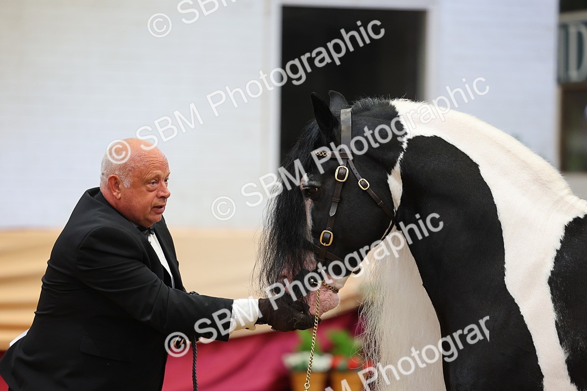 SBM_22728 - Class 903 - Supreme Final - IH Pre Vet