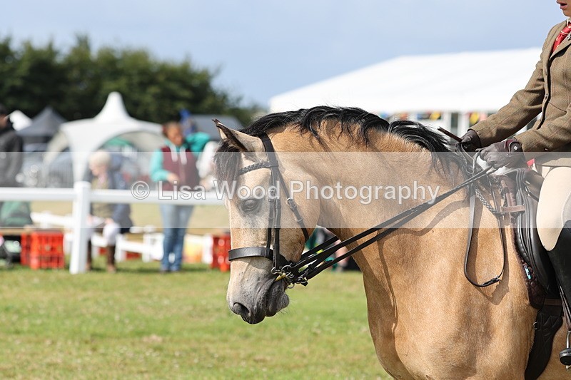 JPP_0809 - Class 16: Cornish Combination Young Rider