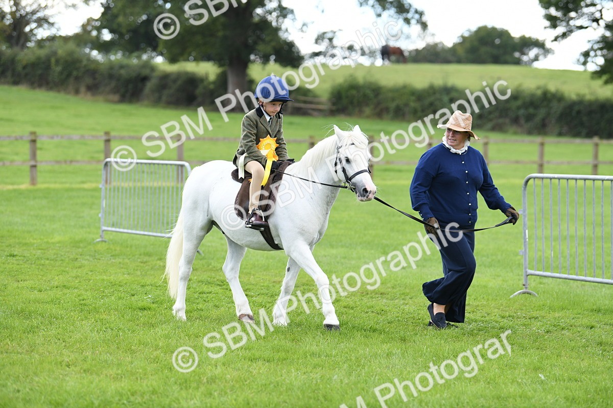 SBM_42715 - S20 - Lead Rein Mountain & Moorland Pony