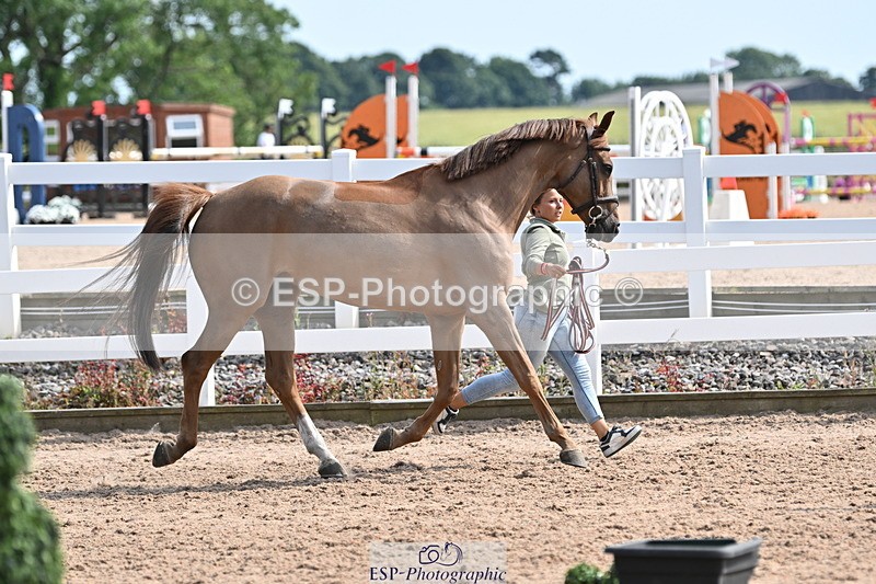 240717A-160649-03315 - Trot Up 4pm to 5pm