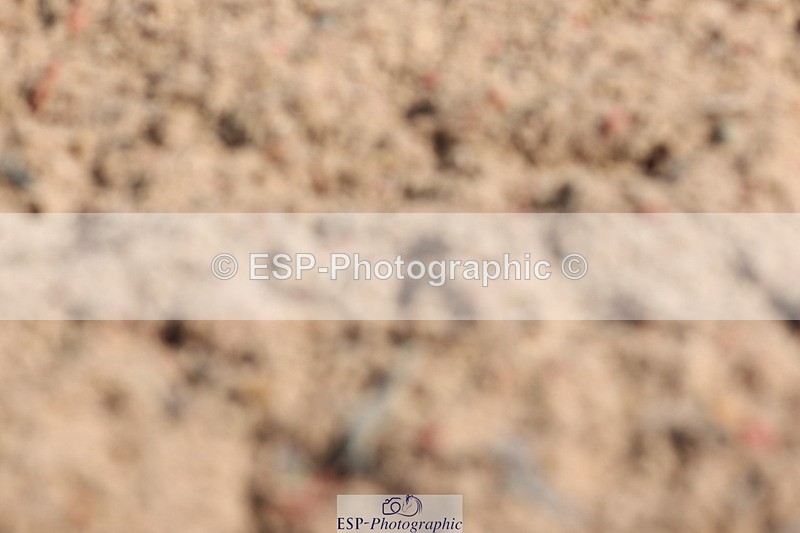 240706A-094719-00056 - Cls 1A Snr Intro C