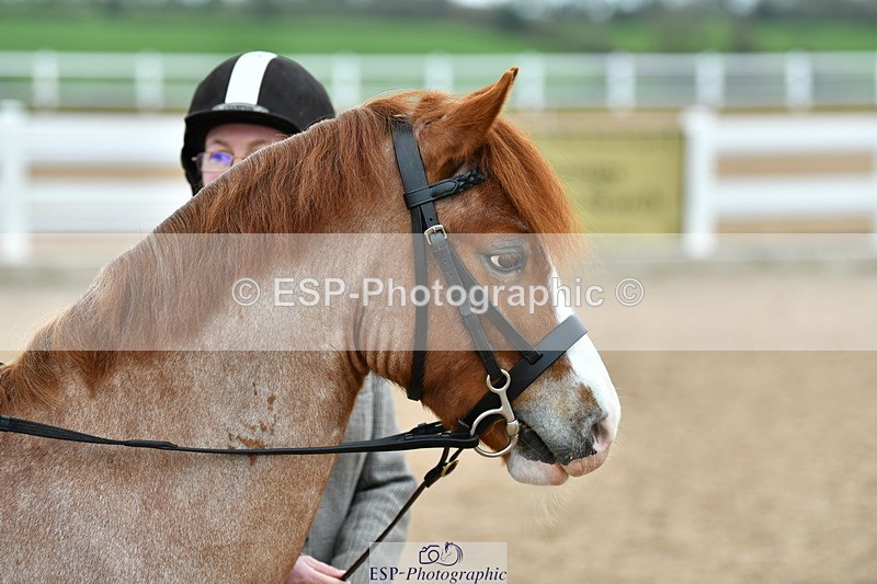 230416A-092732-03088 - Cls 52+53 Novice Horse, Pony, Combi