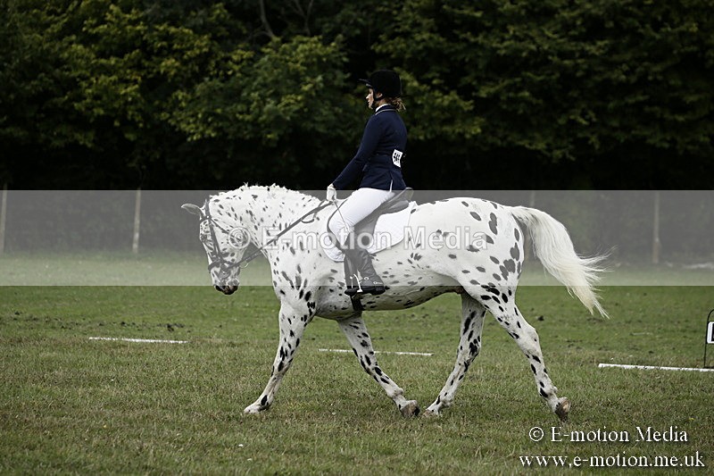 BVR080918 115 - BVRC Novice Dressage & CR 08/09/18