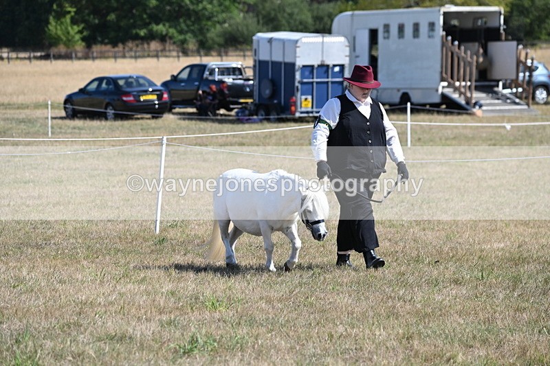 WJ6_4597 - Class 17 Mountain & Moorland
