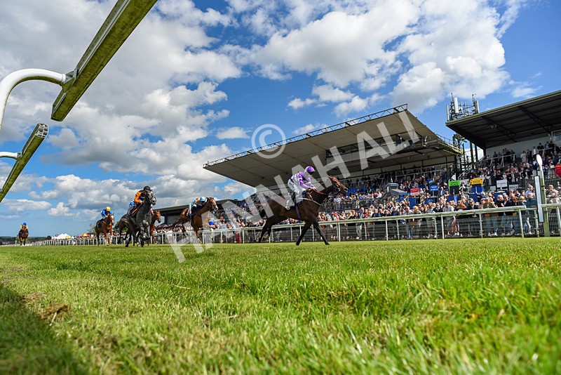 080624-Race 5-Ludos Landing-0560 - Race 5