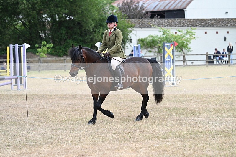 WJ7_0306 - Class 6 Ridden Mountain and Moorland