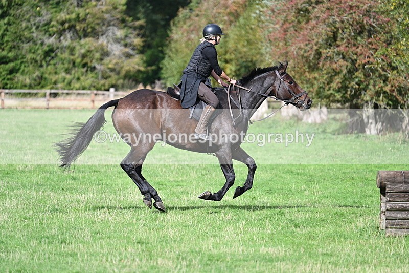 WJ7_8761 - Time 12:40 to 12:54