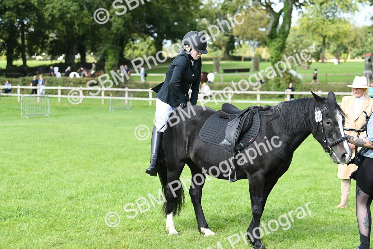 SBM_46840 - S12 - Family Horse & Pony