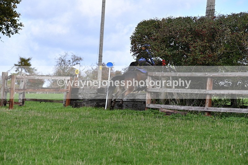 WJ5_8564 - Time 12:02 to 12:32