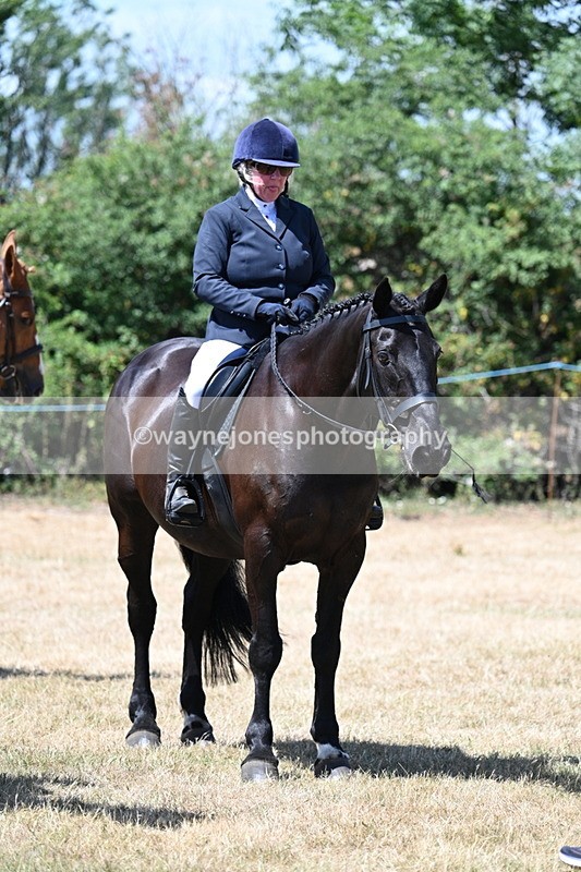WJ7_3153 - Class 7 Riding Club Show Horse