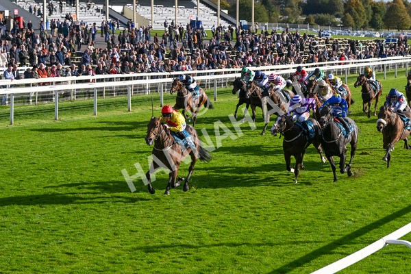 111024-Race 5-Vince LAmour-1996 - Race 5 3.45pm Copper Knight - Winning Most Horse At York Handicap