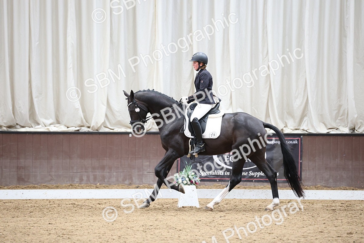 SBM_003519 - Class 5 - Novice 6 Gold - 13.05-14.00