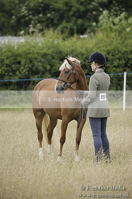 B230619-0052 - Bourne Valley Riding Club Summer Show 23/06/19