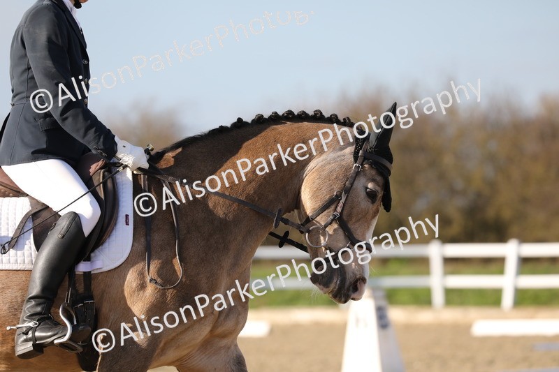 20260314-5883 - DR8 - Elementary 2