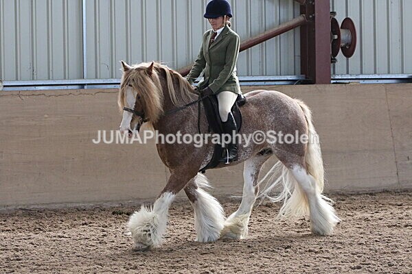 SIAL1973 - Indoor Classes