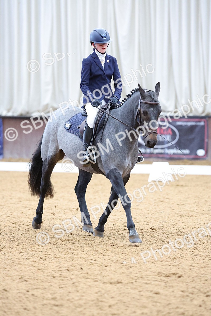 SBM_002593 - Novice