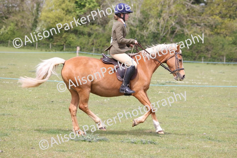 20260426-2996 - Class 33 - Best Pony 14.2hh and Under