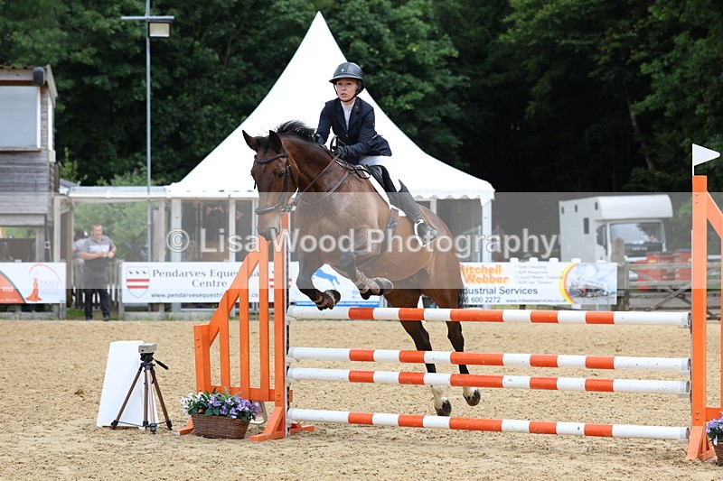 3E7A6481 - Class 4: Senior British Novice/90cm open