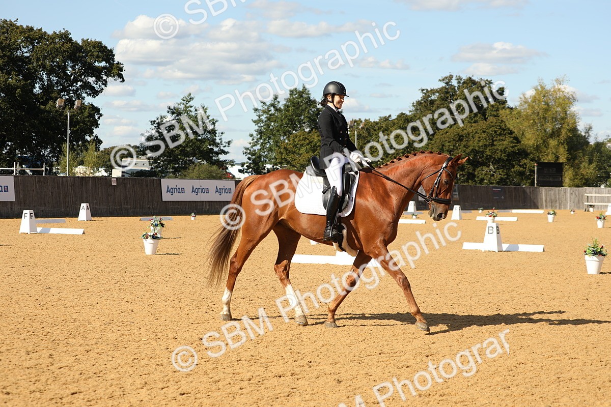 SBM_24602 - D17 - Grand Tour Championship - Novice 27