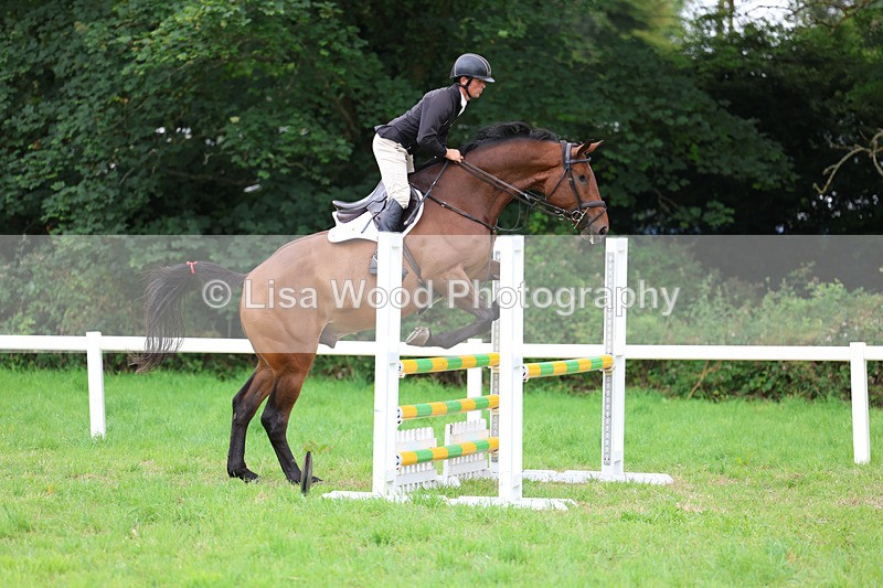 3E7A7215 - Class 5: Senior British Novice/90cm open