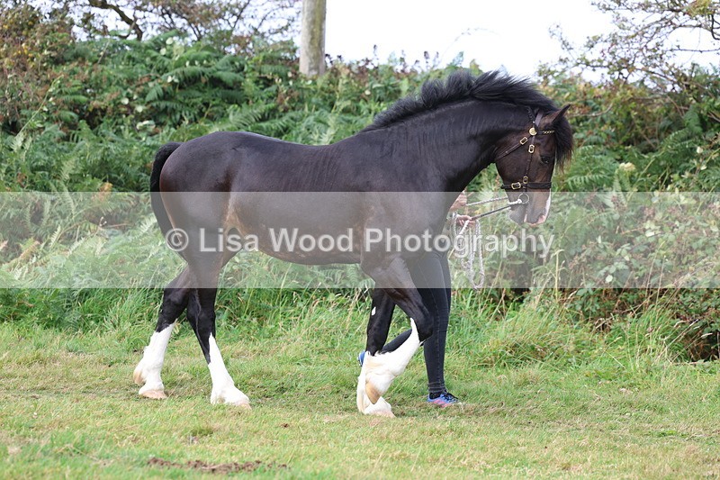 3E7A4040 - Class 15: Two Year Olds