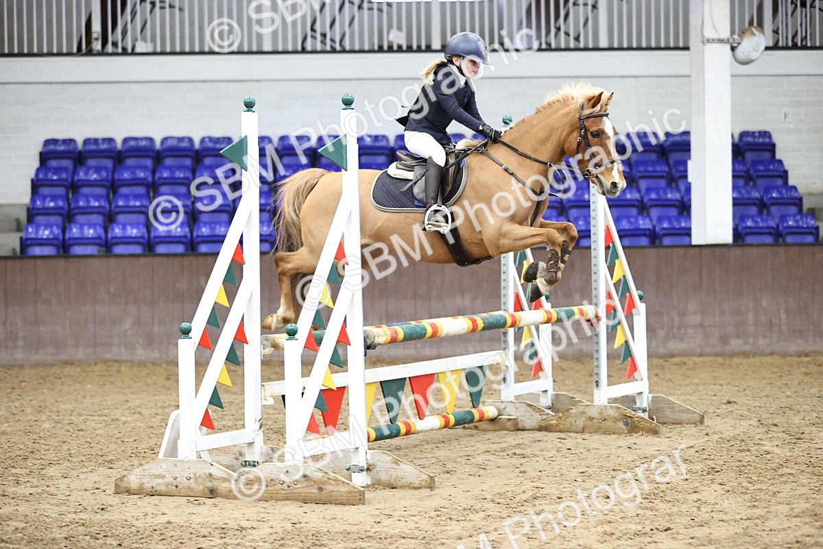 SBM_001478 - Class 9 - Pony British Novice 80cm